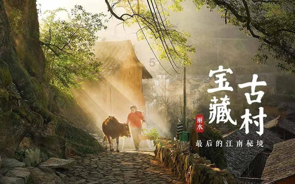 僵尸粉碎机